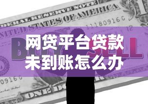 网贷平台贷款未到账怎么办?真实解决办法解析 网贷平台贷款未到账怎么办?真实解决办法解析