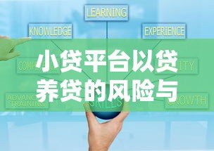 小贷平台以贷养贷的风险与应对策略分析 小贷平台以贷养贷的风险与应对策略分析