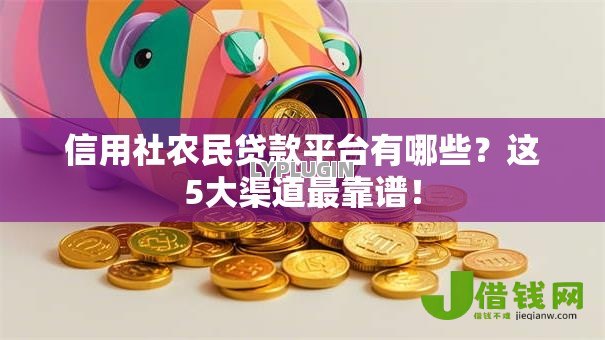 信用社农民贷款平台有哪些？这5大渠道最靠谱！