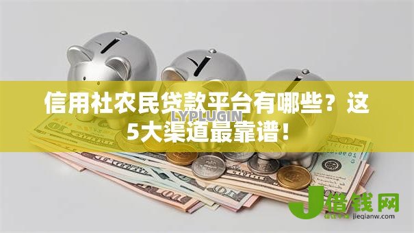 信用社农民贷款平台有哪些？这5大渠道最靠谱！