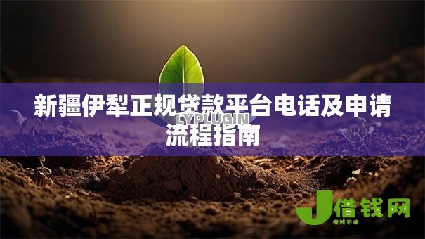 新疆伊犁正规贷款平台电话及申请流程指南