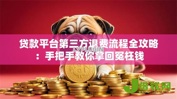 贷款平台第三方退费流程全攻略：手把手教你拿回冤枉钱
