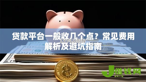 贷款平台一般收几个点？常见费用解析及避坑指南