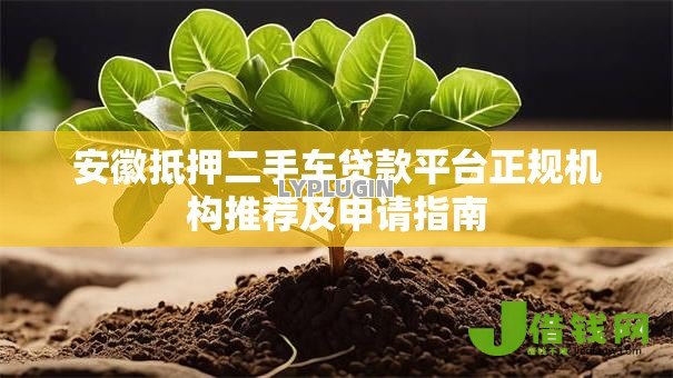 安徽抵押二手车贷款平台正规机构推荐及申请指南 安徽抵押二手车贷款平台正规机构推荐及申请指南