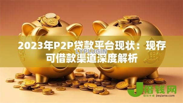 2023年P2P贷款平台现状:现存可借款渠道深度解析 2023年P2P贷款平台现状:现存可借款渠道深度解析