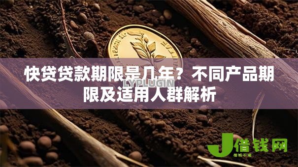 快贷贷款期限是几年？不同产品期限及适用人群解析