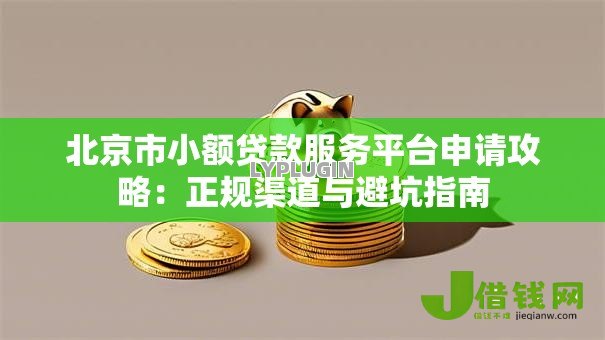 北京市小额贷款服务平台申请攻略:正规渠道与避坑指南 北京市小额贷款服务平台申请攻略:正规渠道与避坑指南