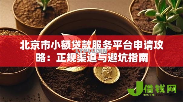北京市小额贷款服务平台申请攻略:正规渠道与避坑指南 北京市小额贷款服务平台申请攻略:正规渠道与避坑指南