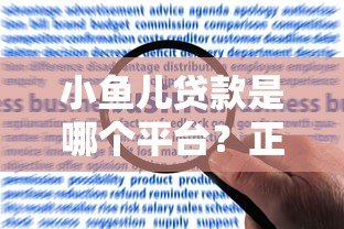 小鱼儿贷款是哪个平台?正规资质、申请流程及用户评价全解析 小鱼儿贷款是哪个平台?正规资质、申请流程及用户评价全解析