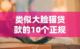 类似大脸猫贷款的10个正规平台推荐 类似大脸猫贷款的10个正规平台推荐