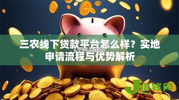 三农线下贷款平台怎么样？实地申请流程与优势解析