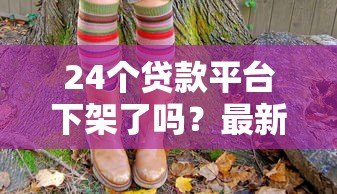 24个贷款平台下架了吗？最新监管动态解析