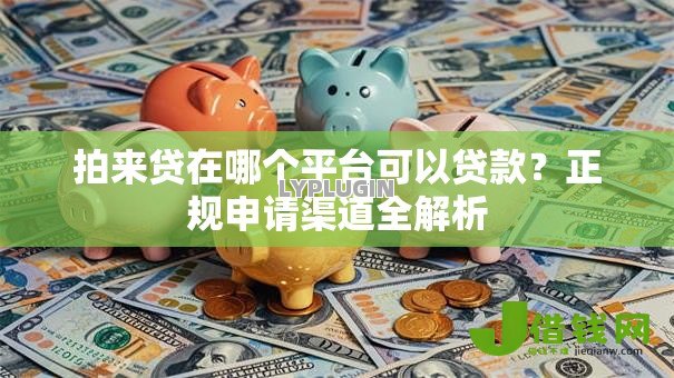 拍来贷在哪个平台可以贷款?正规申请渠道全解析 拍来贷在哪个平台可以贷款?正规申请渠道全解析