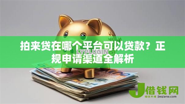 拍来贷在哪个平台可以贷款?正规申请渠道全解析 拍来贷在哪个平台可以贷款?正规申请渠道全解析