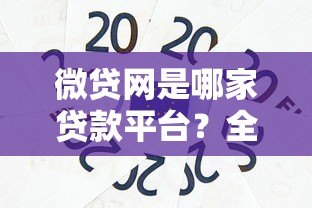微贷网是哪家贷款平台?全面解析背景、产品与用户口碑 微贷网是哪家贷款平台?全面解析背景、产品与用户口碑