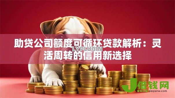 助贷公司额度可循环贷款解析:灵活周转的信用新选择 助贷公司额度可循环贷款解析:灵活周转的信用新选择