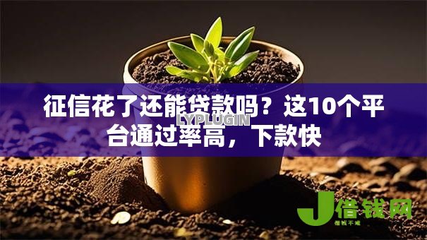 征信花了还能贷款吗？这10个平台通过率高，下款快
