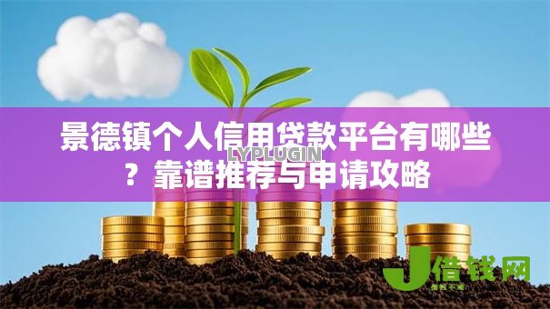 景德镇个人信用贷款平台有哪些?靠谱推荐与申请攻略 景德镇个人信用贷款平台有哪些?靠谱推荐与申请攻略