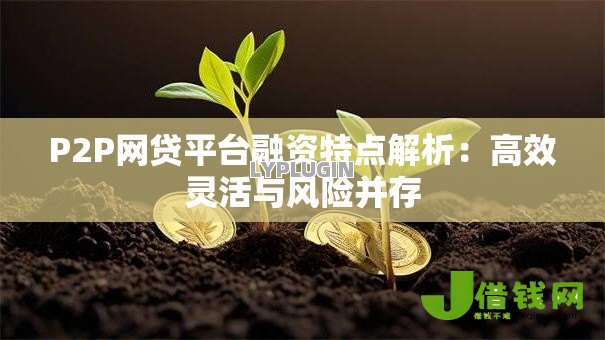 P2P网贷平台融资特点解析：高效灵活与风险并存