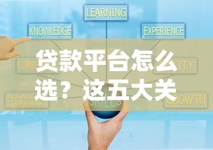 贷款平台怎么选？这五大关键信息你必须知道