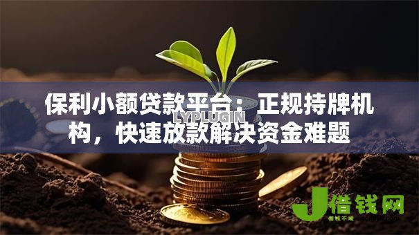 保利小额贷款平台：正规持牌机构，快速放款解决资金难题