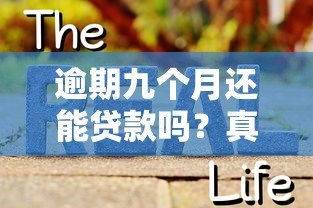 逾期九个月还能贷款吗?真实平台分析与应对策略 逾期九个月还能贷款吗?真实平台分析与应对策略