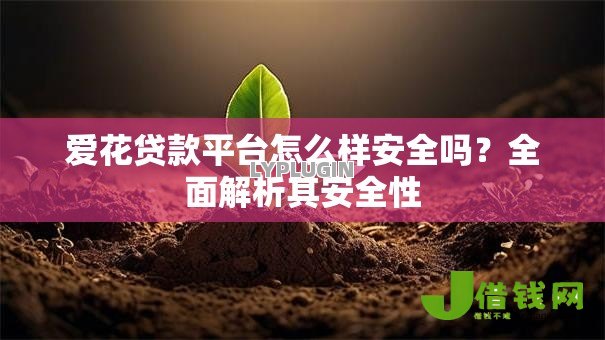 爱花贷款平台怎么样安全吗?全面解析其安全性 爱花贷款平台怎么样安全吗?全面解析其安全性