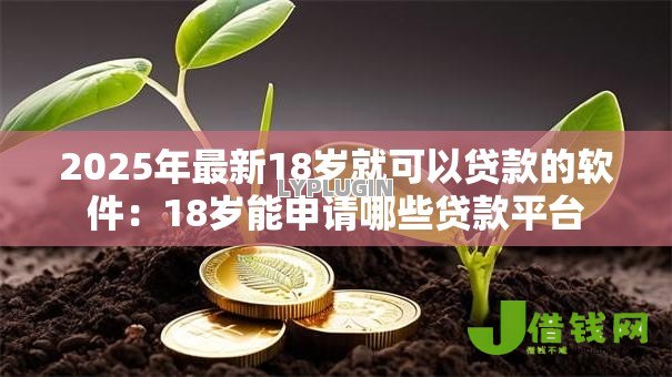 2025年最新18岁就可以贷款的软件：18岁能申请哪些贷款平台