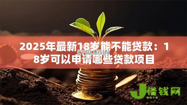 2025年最新18岁能不能贷款:18岁可以申请哪些贷款项目 2025年最新18岁能不能贷款:18岁可以申请哪些贷款项目