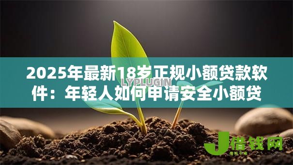 2025年最新18岁正规小额贷款软件:年轻人如何申请安全小额贷款 2025年最新18岁正规小额贷款软件:年轻人如何申请安全小额贷款