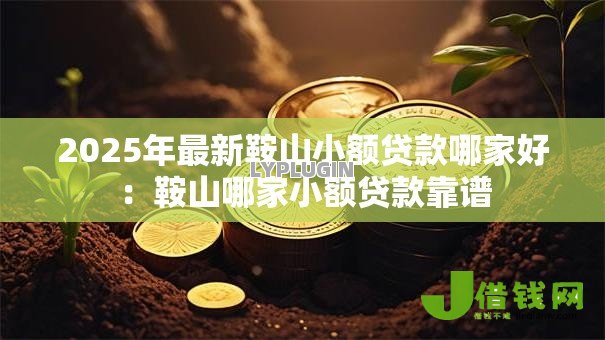 2025年最新鞍山小额贷款哪家好：鞍山哪家小额贷款靠谱