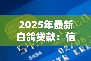 2025年最新白鸽贷款:信贷平台如何保障资金安全 2025年最新白鸽贷款:信贷平台如何保障资金安全
