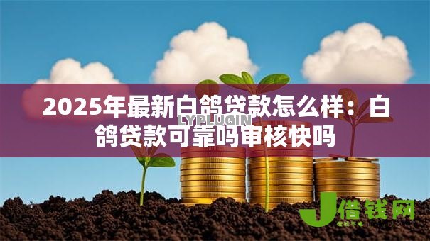 2025年最新白鸽贷款怎么样:白鸽贷款可靠吗审核快吗 2025年最新白鸽贷款怎么样:白鸽贷款可靠吗审核快吗