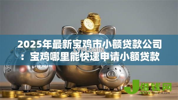 2025年最新宝鸡市小额贷款公司:宝鸡哪里能快速申请小额贷款 2025年最新宝鸡市小额贷款公司:宝鸡哪里能快速申请小额贷款
