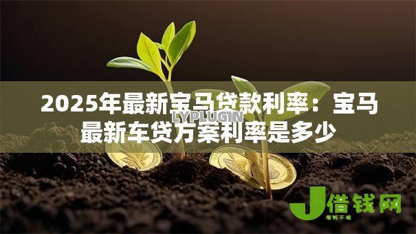 2025年最新宝马贷款利率：宝马最新车贷方案利率是多少