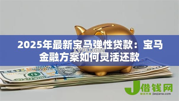 2025年最新宝马弹性贷款：宝马金融方案如何灵活还款