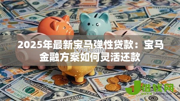 2025年最新宝马弹性贷款：宝马金融方案如何灵活还款