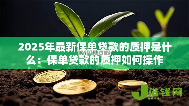 2025年最新保单贷款的质押是什么:保单贷款的质押如何操作 2025年最新保单贷款的质押是什么:保单贷款的质押如何操作