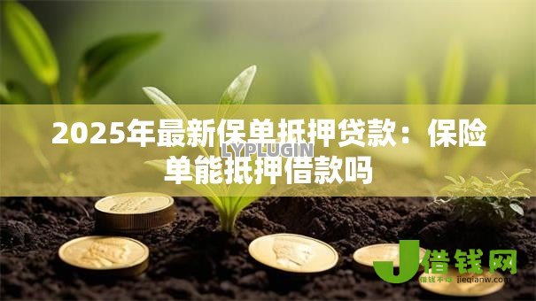 2025年最新保单抵押贷款：保险单能抵押借款吗