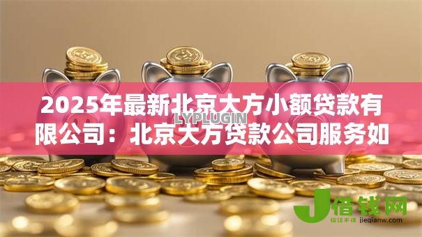 2025年最新北京大方小额贷款有限公司：北京大方贷款公司服务如何