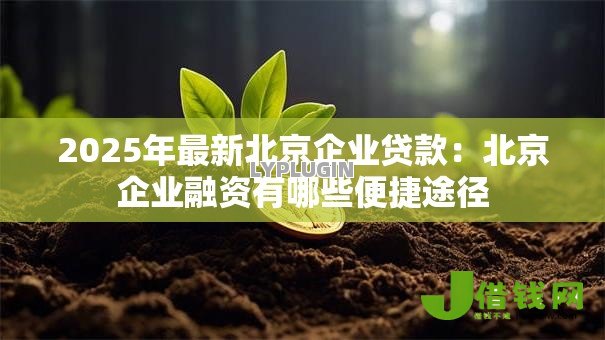 2025年最新北京企业贷款:北京企业融资有哪些便捷途径 2025年最新北京企业贷款:北京企业融资有哪些便捷途径