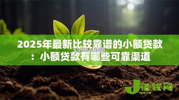 2025年最新比较靠谱的小额贷款：小额贷款有哪些可靠渠道
