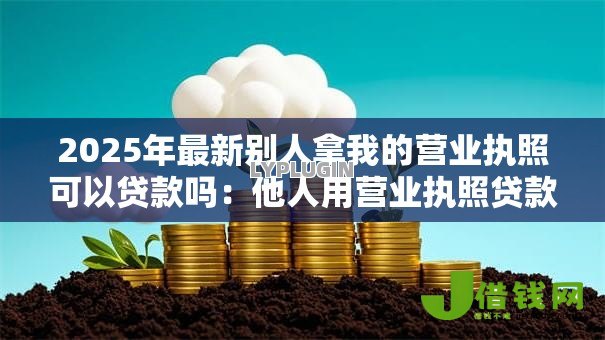 2025年最新别人拿我的营业执照可以贷款吗：他人用营业执照贷款可行吗