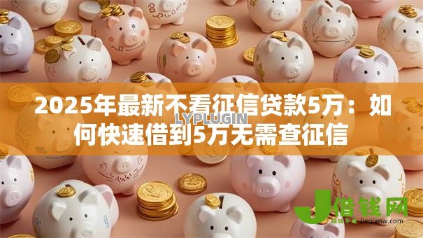 2025年最新不看征信贷款5万：如何快速借到5万无需查征信