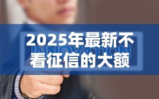 2025年最新不看征信的大额贷款:大额贷款真能不查征信吗 2025年最新不看征信的大额贷款:大额贷款真能不查征信吗