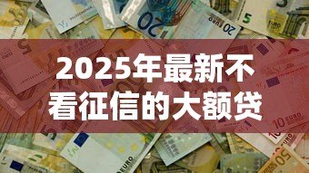 2025年最新不看征信的大额贷款:大额贷款真能不查征信吗 2025年最新不看征信的大额贷款:大额贷款真能不查征信吗