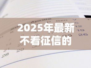 2025年最新不看征信的大额贷款:大额贷款真能不查征信吗 2025年最新不看征信的大额贷款:大额贷款真能不查征信吗