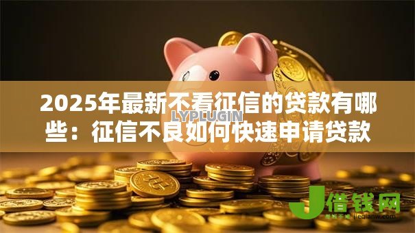 2025年最新不看征信的贷款有哪些：征信不良如何快速申请贷款
