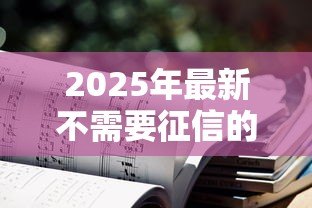 2025年最新不需要征信的贷款平台：哪些贷款渠道不查个人信用记录