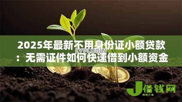 2025年最新不用身份证小额贷款:无需证件如何快速借到小额资金 2025年最新不用身份证小额贷款:无需证件如何快速借到小额资金